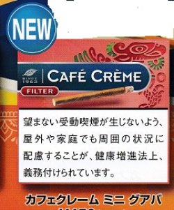 画像1: カフェ クレーム ・ミニ・グアバ(オランダ)１カートン（１０個）単位で取寄せ商品