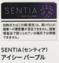 画像1: センティア・アイシー・パープル　１カートン(１０個)単位で取り寄せ商品
