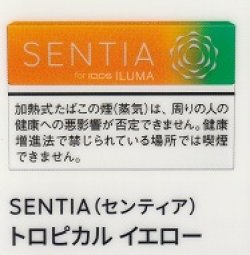 画像1: センティア・トロピカル・イエロー　Ｅ　１カートン(１０個)単位で取り寄せ商品　