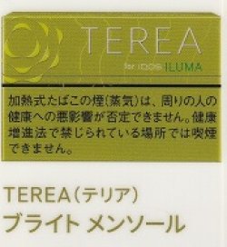 画像1: テリア・ブライト・メンソール　Ｅ　１カートン(１０個)単位で取り寄せ商品　