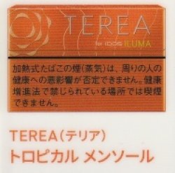 画像1: テリア・トロピカル・メンソール　E　１カートン(１０個)単位で取り寄せ商品　