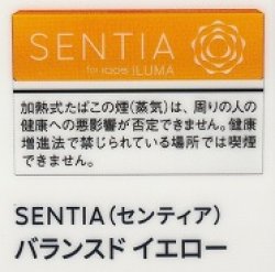 画像1: センティア・バランスド・イエロー　E　１カートン(１０個)単位で取り寄せ商品　