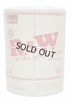 画像1: RAW プレミアム100g缶 　(デンマーク/100g）1個単位で取り寄せ商品　