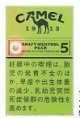 キャメル・クラフト・メンソール・ペアーカプセル・5・ボックス (日本/タール5mgニコチン0.3mg)カートン/10個単位で取り寄せ商品