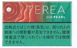 画像1: テリア・サン・パール　Ｅ　１カートン(１０個)単位で取寄せ商品