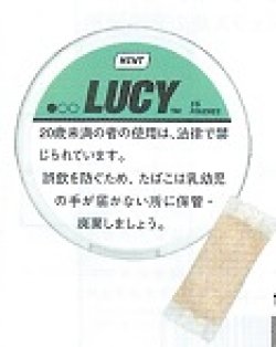 画像1: ルーシー・ミント（インドネシア）　1パック/15パウチ入り　