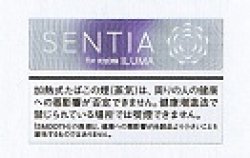 画像1: センティア・スムース・バイオレット　　１カートン(１０個)単位で取り寄せ商品　