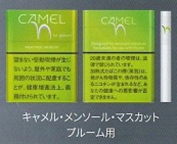画像1: キャメル・メンソール・マスカット・プルーム用（日本）カートン（10個）単位で取り寄せ商品　2025/3月上旬リニューアル