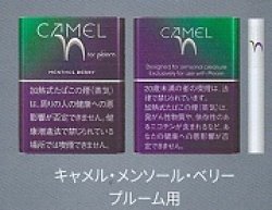 画像1: キャメル・メンソール・パープル・プルーム用（日本）カートン（10個）単位で取り寄せ商品　2025/3月上旬リニューアル