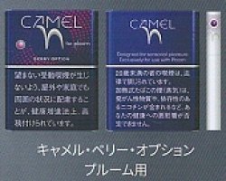 画像1: キャメル・ベリー・オプション・プルーム用（日本）カートン（10個）単位で取り寄せ商品　2025/3月上旬リニューアル商品　