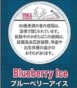 画像1: ブルーベリーアイス（スウェーデン製）