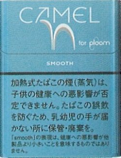 画像1: キャメル・スムース・プルーム用（日本）カートン（10個）単位で取り寄せ商品　