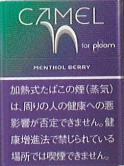 画像1: キャメル・メンソール・ベリー・プルーム用（日本）カートン（10個）単位で取り寄せ商品　