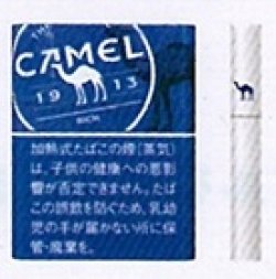 画像1: キャメル・リッチ・プルーム用（日本）カートン（10個）単位で取り寄せ商品　