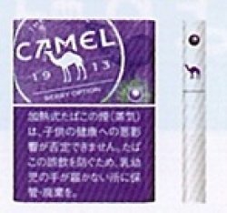 画像1: キャメル・ベリー・オプション・プルーム用（日本）カートン（10個）単位で取り寄せ商品　
