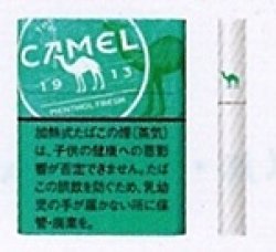 画像1: キャメル・メンソール・フレッシュ・プルーム用（日本）カートン（10個）単位で取り寄せ商品　