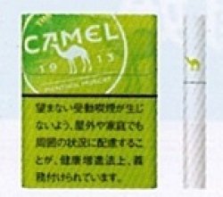 画像1: キャメル・メンソール・マスカット・プルーム用（日本）カートン（10個）単位で取り寄せ商品　