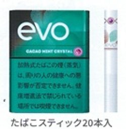 画像1: エボ・カカオ・ミント・クリスタル・プルーム用（日本）カートン（10個）単位で取り寄せ商品2026/10/6新発売　