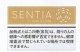 センティア・バランスド・ゴールド　１カートン(１０個)単位で取り寄せ商品　