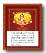 画像: フロール・デ・フィリピーナ・ハバノ・ハーフコロナ(フィリピン/97×15.5mm)業者の在庫無くなり次第終売