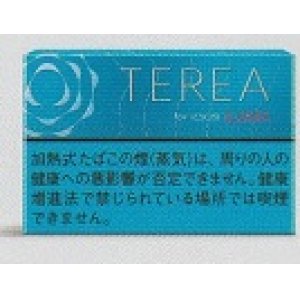 画像: テリア・レギュラー・E　１カートン(１０個)単位で取り寄せ商品