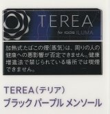 画像: テリア・ブラック・パープル・メンソール　E  １カートン(１０個)単位で取り寄せ商品