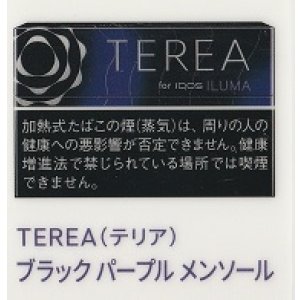 画像: テリア・ブラック・パープル・メンソール　E  １カートン(１０個)単位で取り寄せ商品