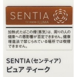 画像: センティア・ピュア・ティーク　Ｅ　１カートン(１０個)単位で取り寄せ商品　