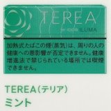 画像: テリア・ミント ・Ｅ　１カートン(１０個)単位で取り寄せ商品　