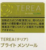 画像: テリア・ブライト・メンソール　Ｅ　１カートン(１０個)単位で取り寄せ商品　