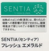 画像: センティア・フレッシュ・エメラルド　Ｅ　１カートン(１０個)単位で取り寄せ商品　