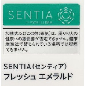 画像: センティア・フレッシュ・エメラルド　Ｅ　１カートン(１０個)単位で取り寄せ商品　
