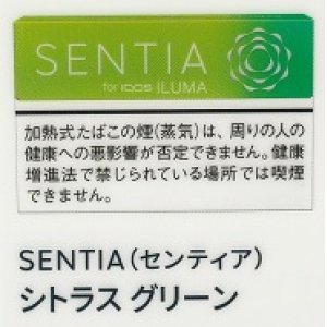 画像: センティア・シトラス・グリーン　Ｅ　１カートン(１０個)単位で取り寄せ商品　2024/5/29新発売　予約受付ますが発送は入荷後になります