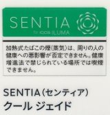 画像: センティア・クール・ジェイド　Ｅ　１カートン(１０個)単位で取り寄せ商品 
