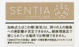 画像: センティア・スムース・ゴールド E　１カートン(１０個)単位で取り寄せ商品 