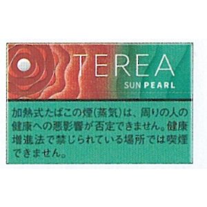 画像: テリア・サン・パール　Ｅ　１カートン(１０個)単位で取寄せ商品