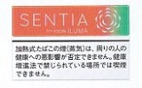 画像: センティア・フレッシュコーラル　　１カートン(１０個)単位で取り寄せ商品　