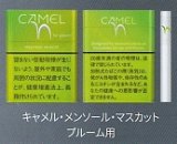 画像: キャメル・メンソール・マスカット・プルーム用（日本）カートン（10個）単位で取り寄せ商品　2025/3月上旬リニューアル