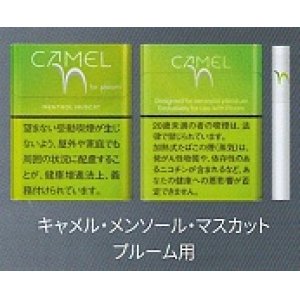 画像: キャメル・メンソール・マスカット・プルーム用（日本）カートン（10個）単位で取り寄せ商品　2025/3月上旬リニューアル