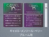 画像: キャメル・メンソール・パープル・プルーム用（日本）カートン（10個）単位で取り寄せ商品　2025/3月上旬リニューアル