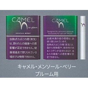 画像: キャメル・メンソール・パープル・プルーム用（日本）カートン（10個）単位で取り寄せ商品　2025/3月上旬リニューアル