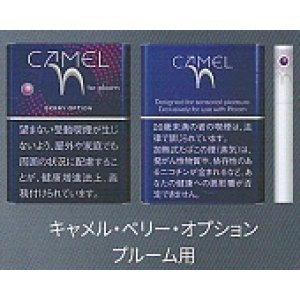 画像: キャメル・ベリー・オプション・プルーム用（日本）カートン（10個）単位で取り寄せ商品　2025/3月上旬リニューアル商品　