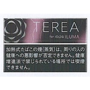 画像: テリア・ブラック・フューシャ・メンソール　 １カートン(１０個)単位で取り寄せ商品　