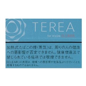 画像: テリア・クリア・レギュラー  1カートン(10個)単位で取り寄せ商品