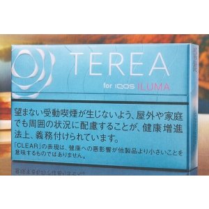 画像: テリア・クリア・レギュラー  1カートン(10個)単位で取り寄せ商品