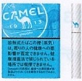 画像: キャメル・スムース・プルーム用（日本）カートン（10個）単位で取り寄せ商品　