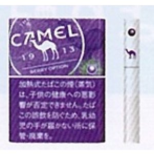 画像: キャメル・ベリー・オプション・プルーム用（日本）カートン（10個）単位で取り寄せ商品　
