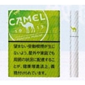 画像: キャメル・メンソール・マスカット・プルーム用（日本）カートン（10個）単位で取り寄せ商品　