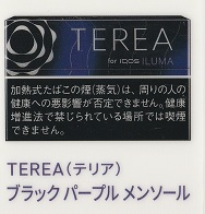 画像1: テリア・ブラック・パープル・メンソール　E  １カートン(１０個)単位で取り寄せ商品