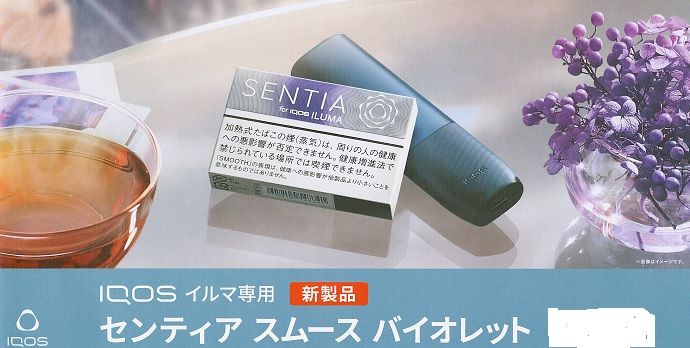 画像: センティア・スムース・バイオレット　　１カートン(１０個)単位で取り寄せ商品　